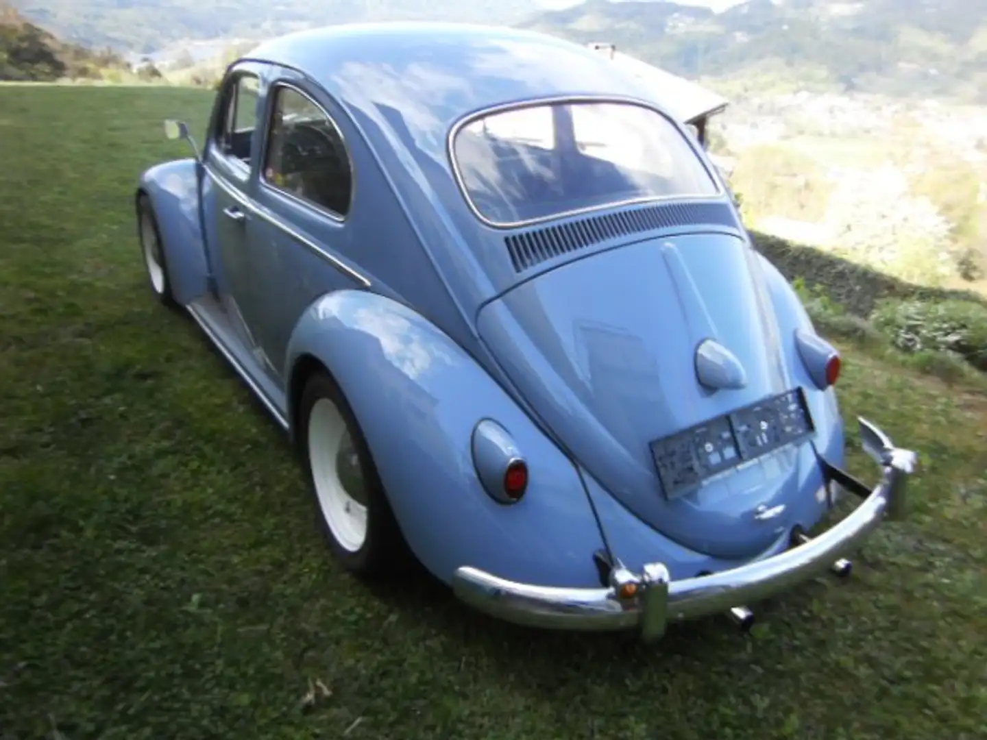 Volkswagen Käfer Blau - 2