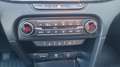Kia Ceed SW / cee'd SW Sportswagon Gold 1.5*Navi*Shzg*Lhzg*PDC*Cam*16Z... Rot - thumbnail 11