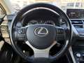Lexus NX 300h 2.5 300H LUXE 4WD AUTO AVEC ATTELAGE Grau - thumbnail 30