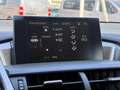 Lexus NX 300h 2.5 300H LUXE 4WD AUTO AVEC ATTELAGE Grau - thumbnail 22