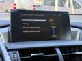 Lexus NX 300h 2.5 300H LUXE 4WD AUTO AVEC ATTELAGE Grau - thumbnail 25