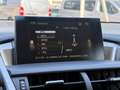Lexus NX 300h 2.5 300H LUXE 4WD AUTO AVEC ATTELAGE Grau - thumbnail 21