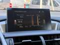 Lexus NX 300h 2.5 300H LUXE 4WD AUTO AVEC ATTELAGE Grau - thumbnail 24