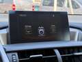 Lexus NX 300h 2.5 300H LUXE 4WD AUTO AVEC ATTELAGE Grau - thumbnail 17