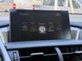 Lexus NX 300h 2.5 300H LUXE 4WD AUTO AVEC ATTELAGE Grau - thumbnail 20