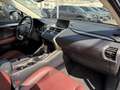Lexus NX 300h 2.5 300H LUXE 4WD AUTO AVEC ATTELAGE Grau - thumbnail 6