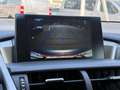 Lexus NX 300h 2.5 300H LUXE 4WD AUTO AVEC ATTELAGE Grau - thumbnail 18