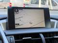 Lexus NX 300h 2.5 300H LUXE 4WD AUTO AVEC ATTELAGE Grau - thumbnail 19