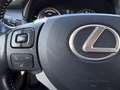 Lexus NX 300h 2.5 300H LUXE 4WD AUTO AVEC ATTELAGE Grau - thumbnail 31