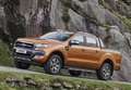 Ford Ranger VII 2.2 tdci double cab Wildtrak 160cv auto Bianco - thumbnail 19