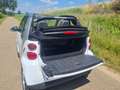 smart forTwo forTwo 1.0 mhd Pulse Cabrio Wit - thumbnail 8