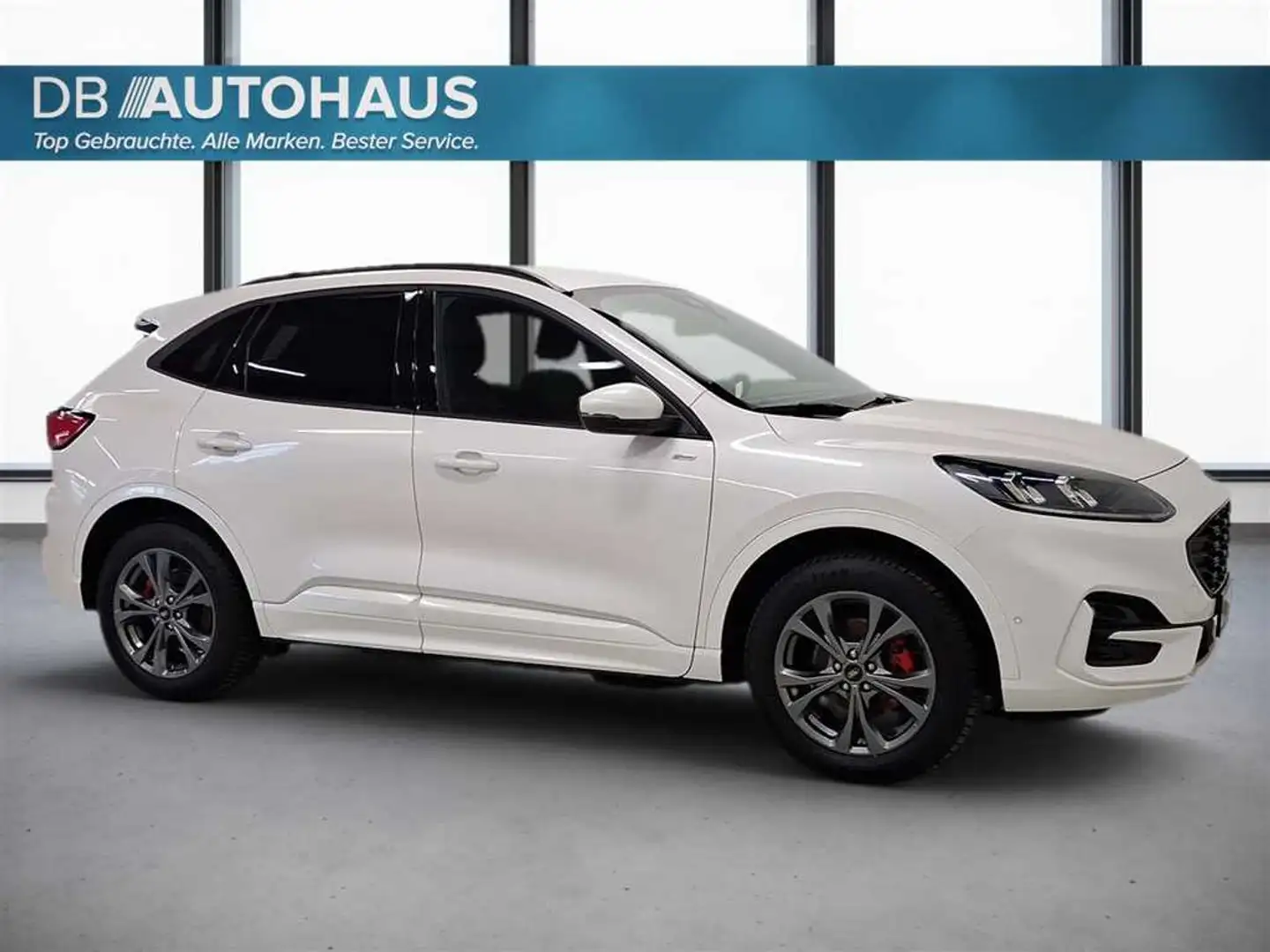 Ford Kuga ST-Line 2.5 DuraTec PHEV Autom Weiß - 2