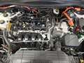 Ford Kuga ST-Line 2.5 DuraTec PHEV Autom Weiß - thumbnail 22