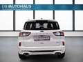 Ford Kuga ST-Line 2.5 DuraTec PHEV Autom Weiß - thumbnail 5