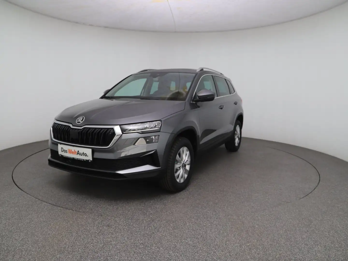 Skoda Karoq Selection TDI Grau - 1
