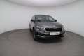 Skoda Karoq Selection TDI Grau - thumbnail 8