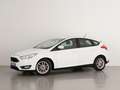 Ford Focus 1.5TDCi Trend+ 120 Blanc - thumbnail 1