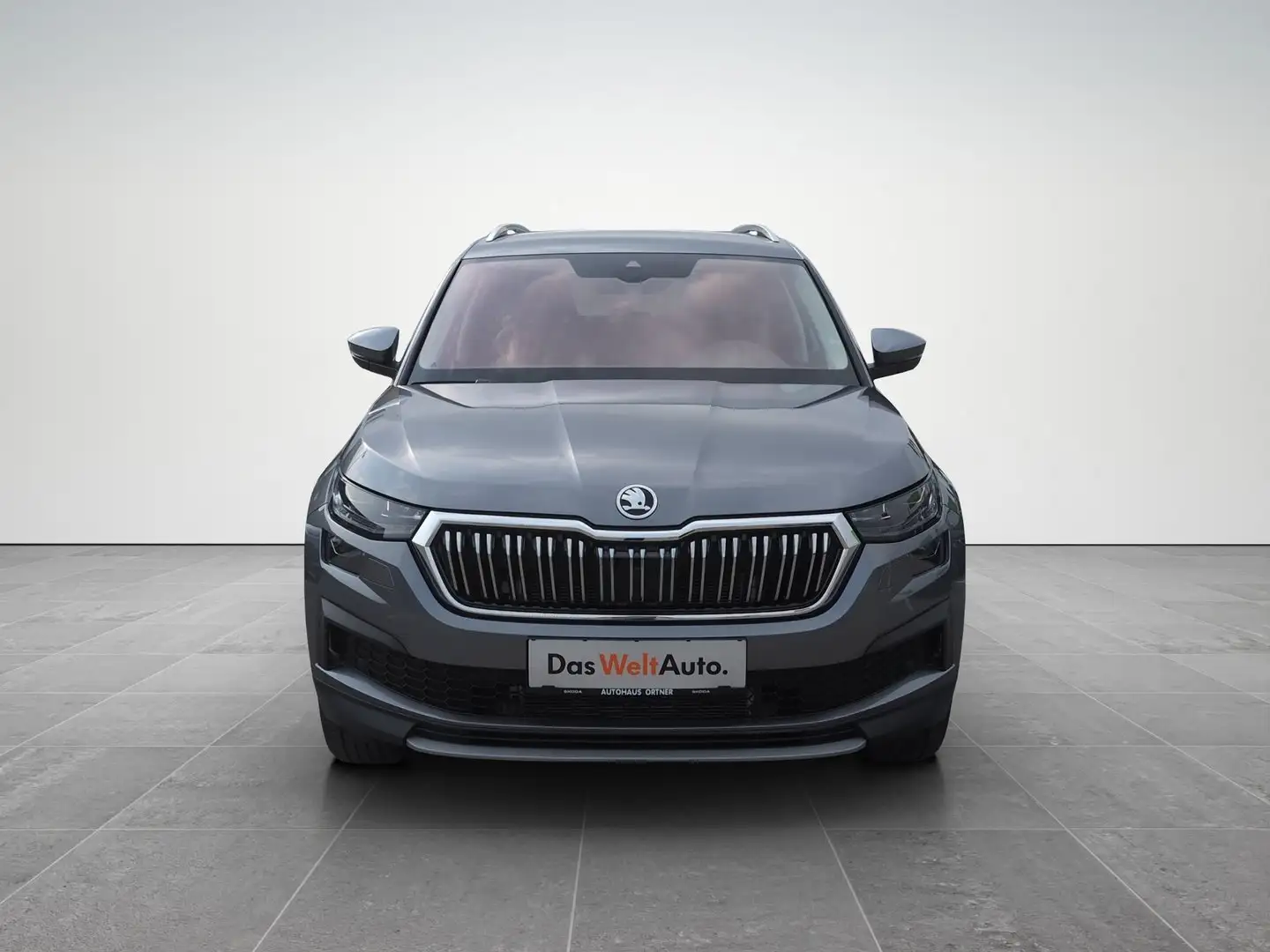 Skoda Kodiaq 4x4 Style TDI DSG Grau - 2