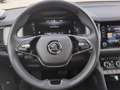 Skoda Kodiaq 4x4 Style TDI DSG Grau - thumbnail 17