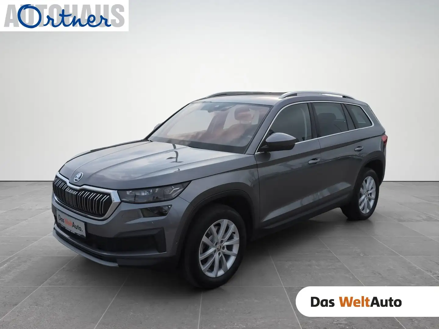 Skoda Kodiaq 4x4 Style TDI DSG Grau - 1
