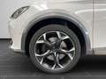 CUPRA Formentor VZ 2.0 TSI 4Drive DSG Rückfahrkamera Weiß - thumbnail 8