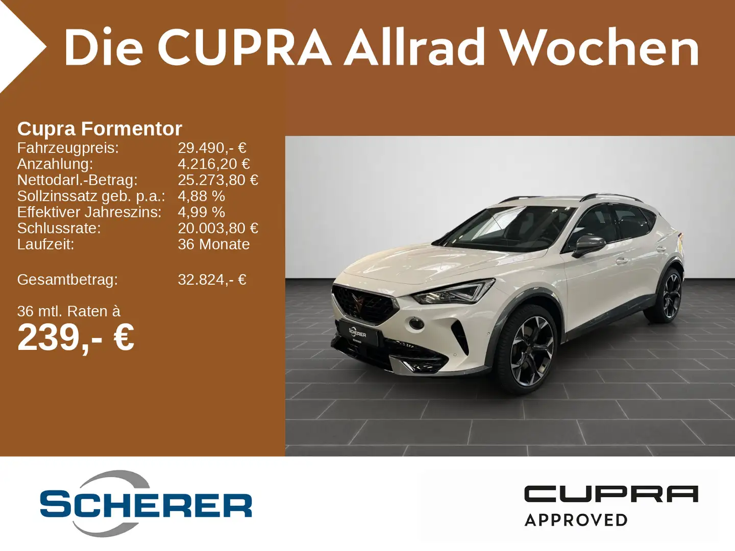 CUPRA Formentor VZ 2.0 TSI 4Drive DSG Rückfahrkamera Weiß - 1