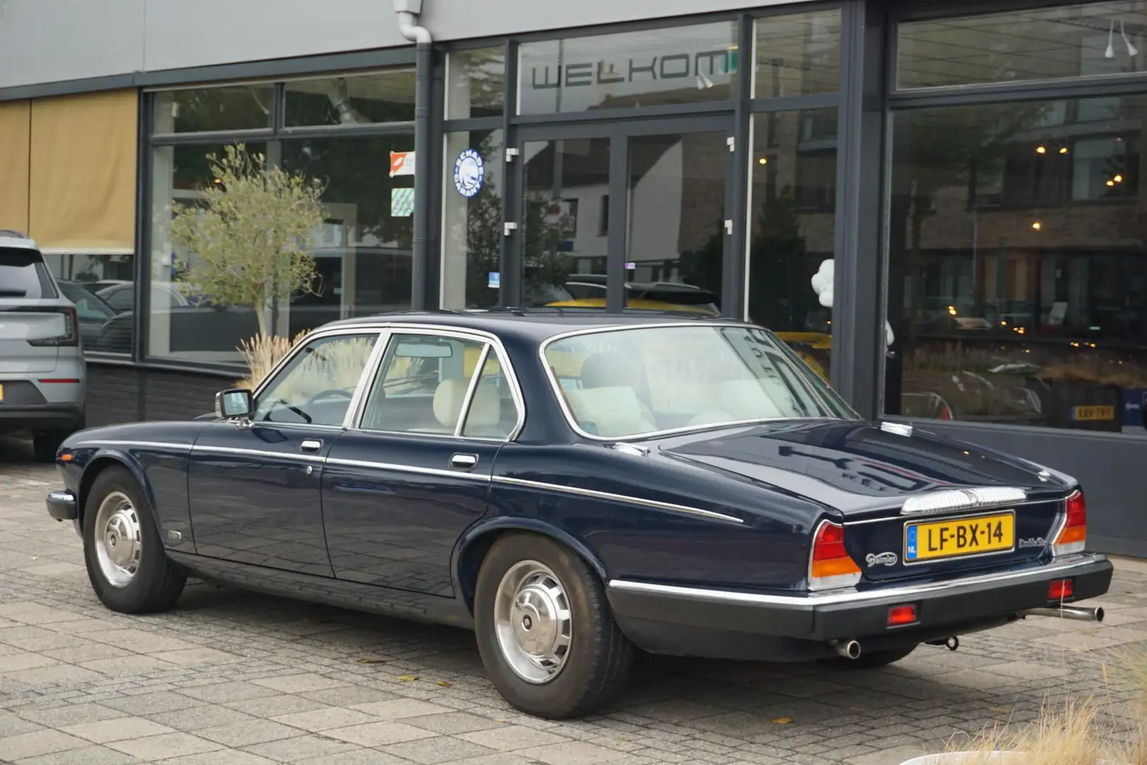 Daimler Double Six 5.3 V12 VandenPlas Blau - 2