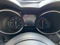 Alfa Romeo Stelvio 2.2 Turbodiesel 160 CV AT8 RWD Business Wit - thumbnail 10