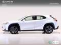 Lexus UX 250h EXECUTIVE NAVIGATION AUTO 2.0 184 5P Білий - thumbnail 3