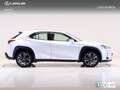 Lexus UX 250h EXECUTIVE NAVIGATION AUTO 2.0 184 5P Wit - thumbnail 15