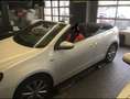Volkswagen Golf Cabriolet Cabrio 1.4 TSI Lounge - thumbnail 3