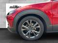 Mazda CX-30 X 186 PS 6AG AL-SELECTION A18-B DES-P Rojo - thumbnail 6