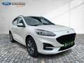 Ford Kuga PHEV ST-Line X Navi 2x Kamera Voll-LED Blanc - thumbnail 15