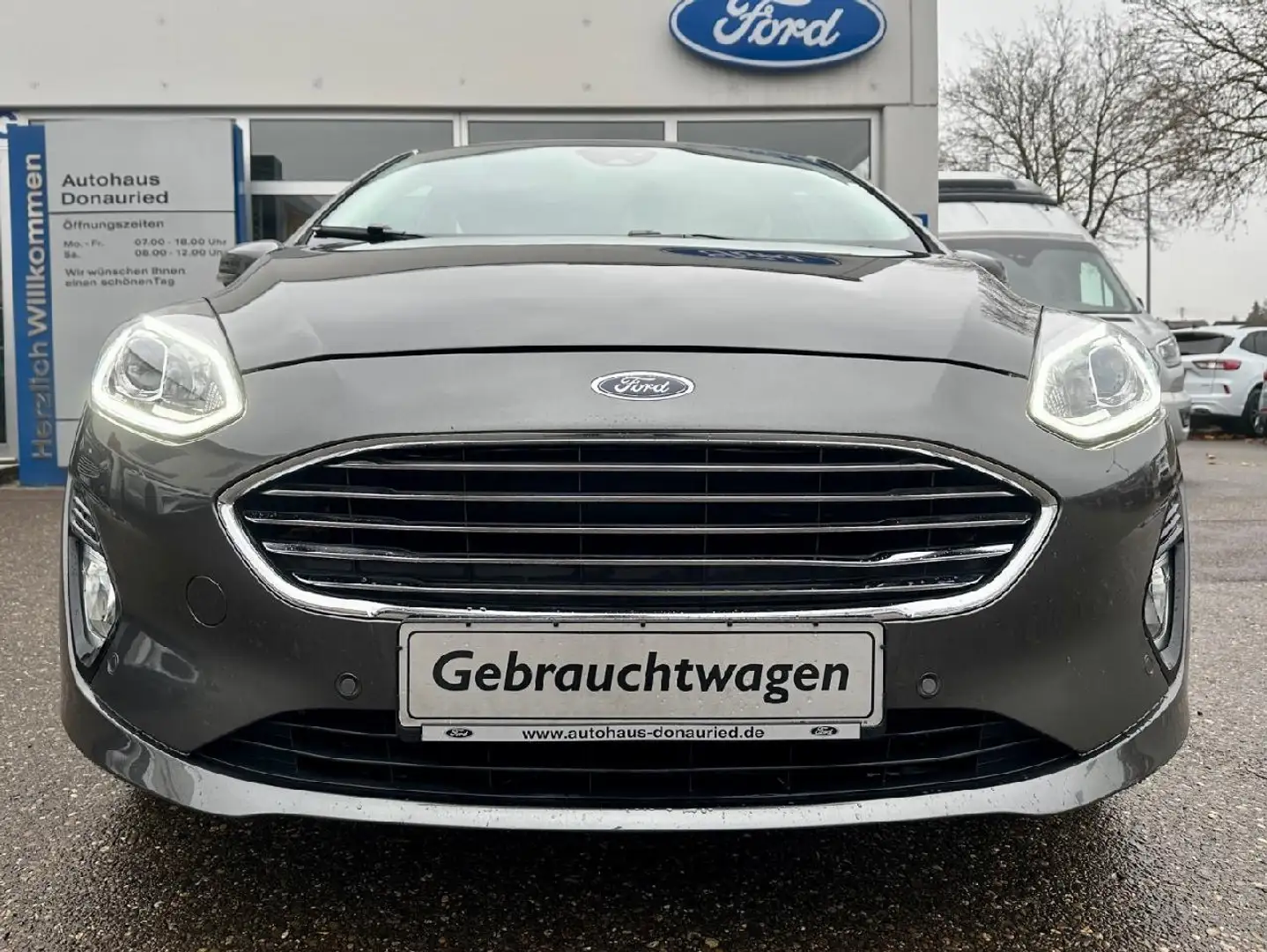 Ford Fiesta Titanium Grijs - 2