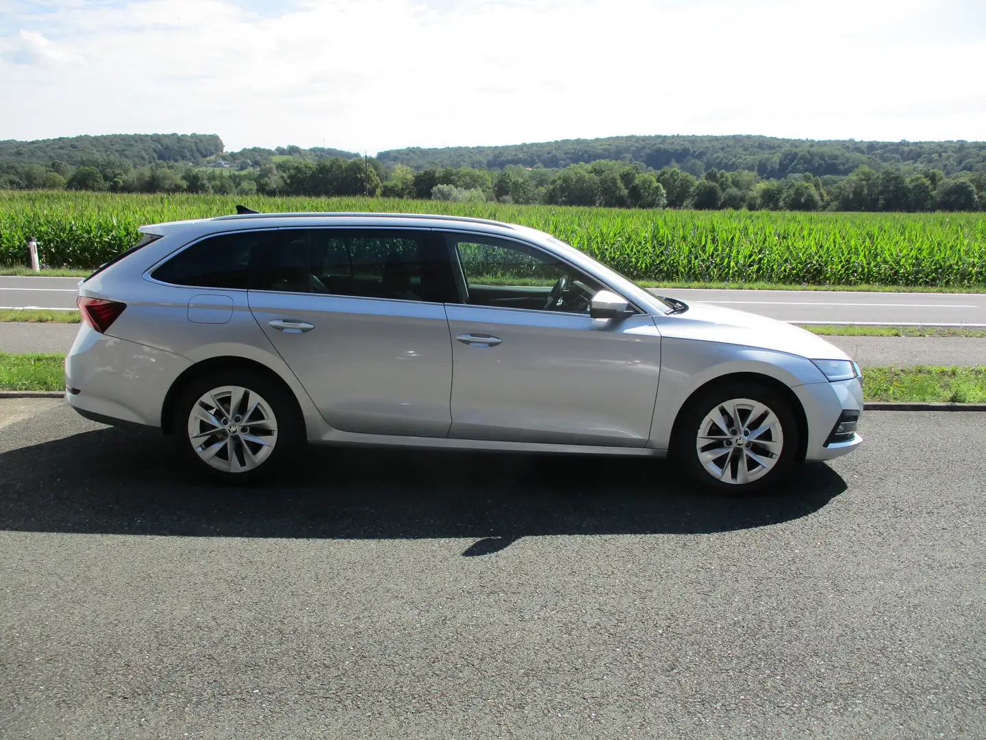 Skoda Octavia Style Grau - 2