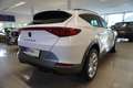 CUPRA Formentor 1.5 TSI Virtual/Kamera/LED Weiß - thumbnail 5