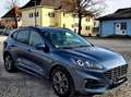 Ford Kuga Kuga 2.0 EcoBlue Hybrid ST-LINE X Blau - thumbnail 1