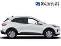 Ford Kuga Titanium 2,5L Duratec FHEV 180PS A FWD Weiß - thumbnail 7