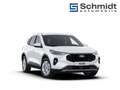 Ford Kuga Titanium 2,5L Duratec FHEV 180PS A FWD Weiß - thumbnail 9