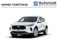 Ford Kuga Titanium 2,5L Duratec FHEV 180PS A FWD Weiß - thumbnail 1