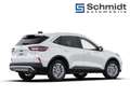 Ford Kuga Titanium 2,5L Duratec FHEV 180PS A FWD Weiß - thumbnail 6