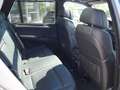 BMW X5 3.0sd Aut. *Xenon**Leder**Navi**Sportpaket* Grau - thumbnail 11
