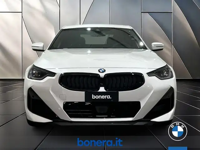 BMW 2 Series view 2