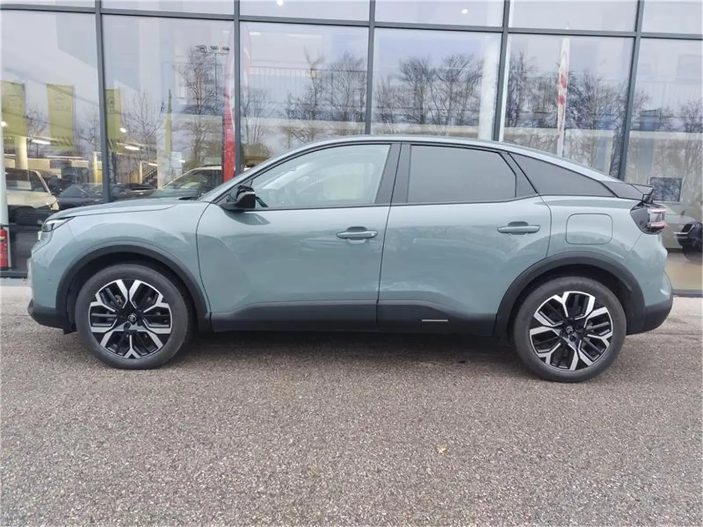 Citroen C4 Pure Tech 130S&S EAT8 Max Grün - 2