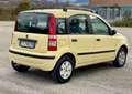 Fiat Panda 1.2 benzina- neopatentati - thumbnail 6