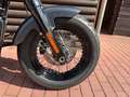 Harley-Davidson Softail Slim Military, S-Design, Top* Grey - thumbnail 9