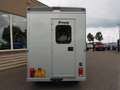 Renault Master T35 2.5 DCI ANEMONE MTM PAARDENWAGEN HORSE TRUCK Zilver - thumbnail 11