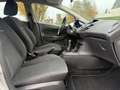 Ford Fiesta 5p 1.0 Titanium 80cv per neopatentati Argento - thumbnail 8
