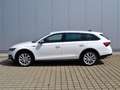Skoda Octavia 2.0 TDI 4x4 DSG Scout AHK/MATRIX/NAVI/INFOTAIN+KO Weiß - thumbnail 8
