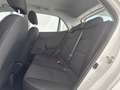 Kia Picanto 1.0 ACTIVE Bianco - thumbnail 10